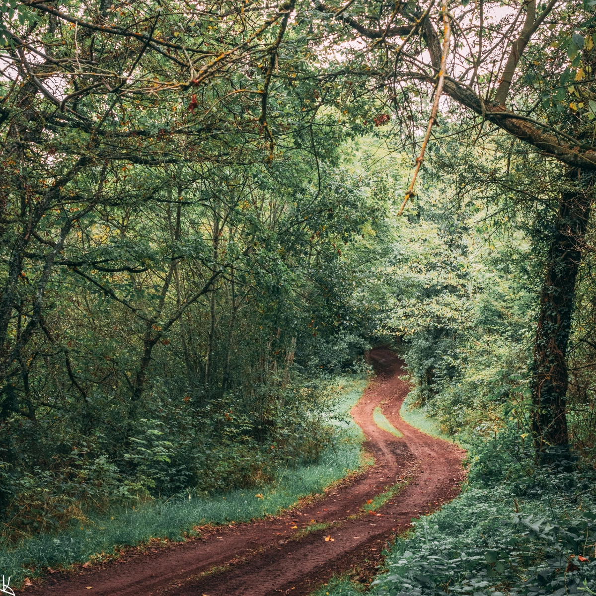 Près de la Croix Saint-Roch